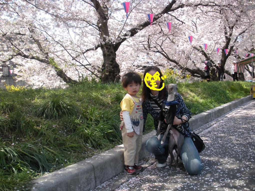c0003217_17423674.jpg
