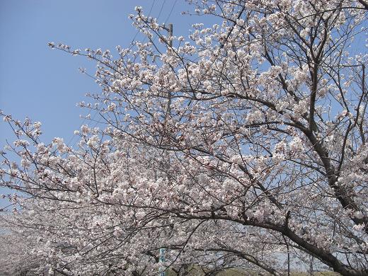 c0005619_22503037.jpg