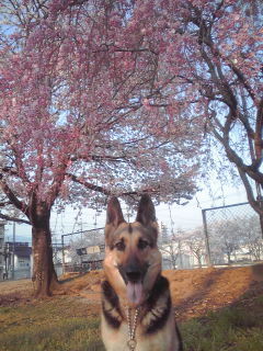 c0090220_10435697.jpg