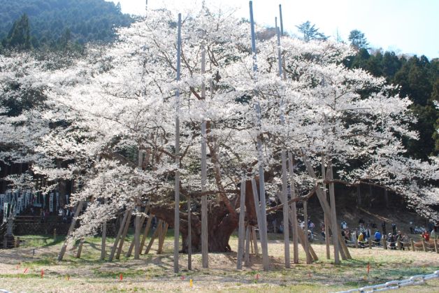 e0123920_055567.jpg