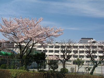 a0111621_1859506.jpg