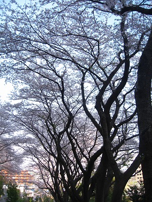a0111621_19182771.jpg