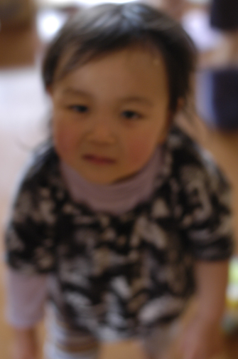 d0129922_921163.jpg