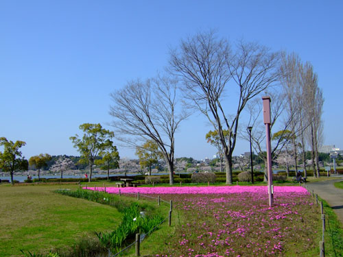 f0147025_19121819.jpg