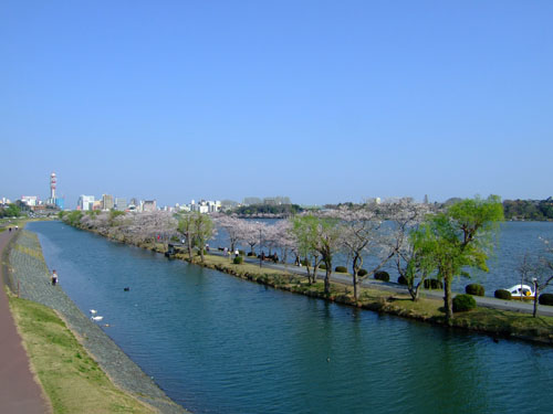 f0147025_1981952.jpg