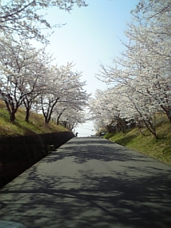 c0173826_1037636.jpg