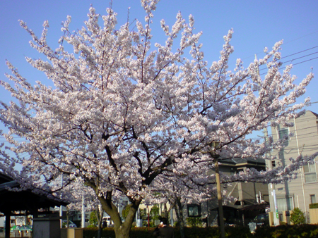 c0117831_21561332.jpg