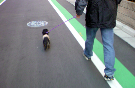 c0117831_21561527.jpg