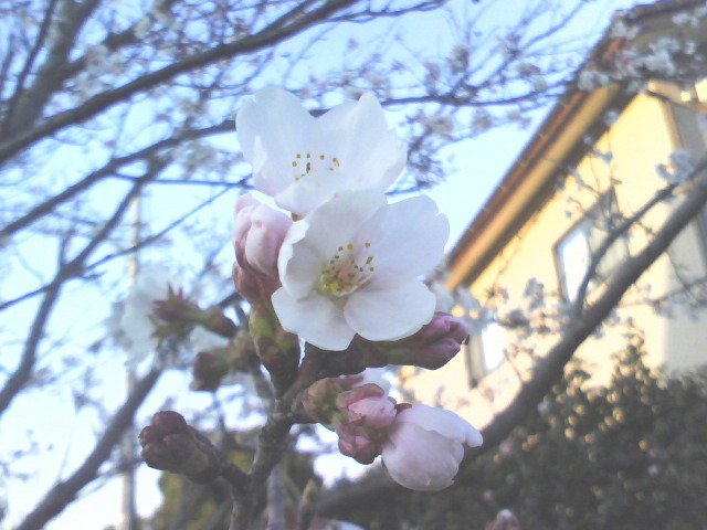 f0064432_23261437.jpg