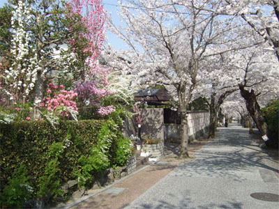 c0193833_12352563.jpg