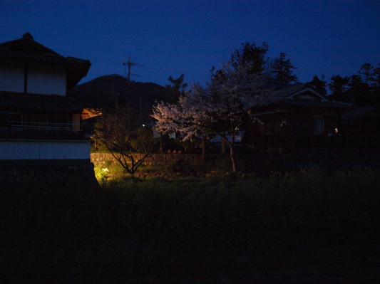 c0072843_19231345.jpg