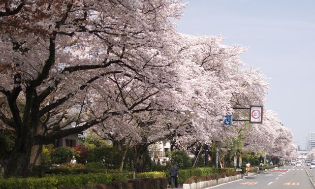 a0032944_19445530.jpg