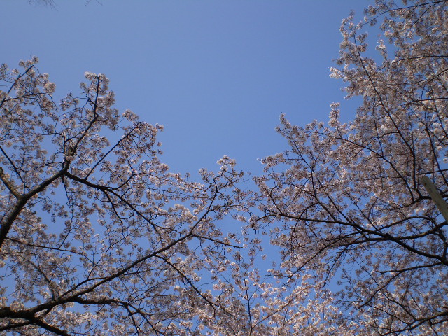 b0045944_1495324.jpg
