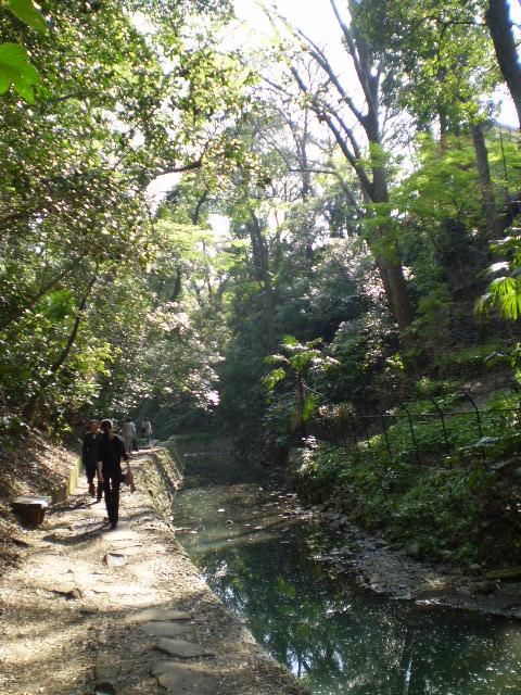 b0045944_1562112.jpg