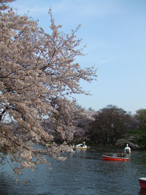 c0071545_2345815.jpg