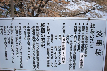 c0122445_17233429.jpg