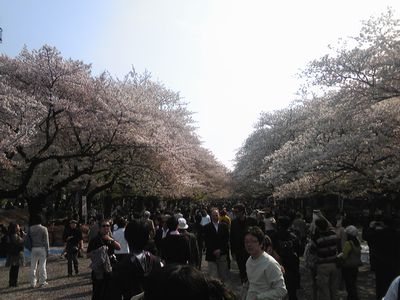 d0022845_21551178.jpg