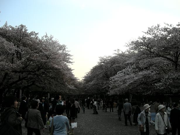 e0092446_18281317.jpg