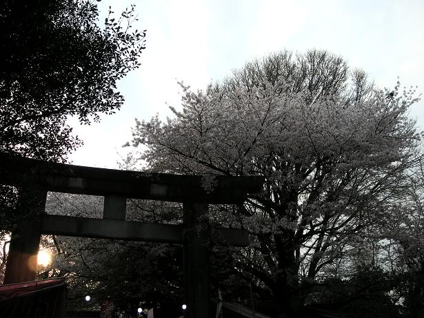e0092446_18282217.jpg