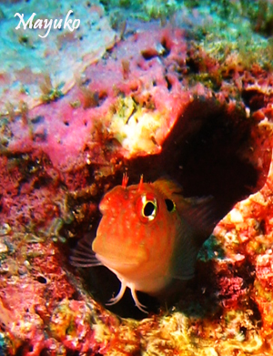 e0027447_0135383.jpg