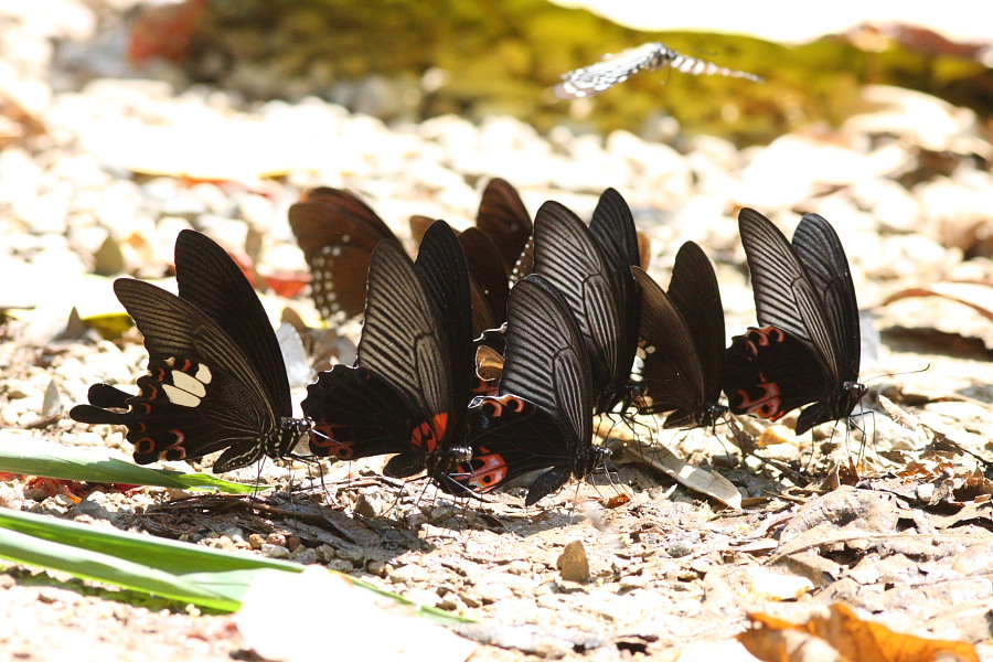 a0094850_211416.jpg