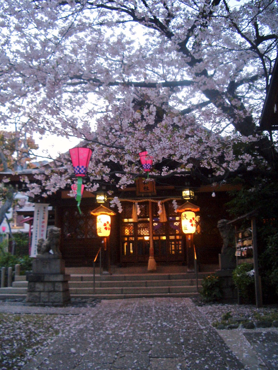 b0163750_9425733.jpg