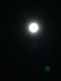 e0065350_2356288.jpg