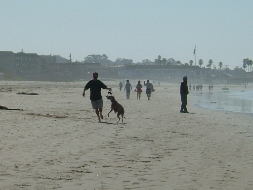 c0078451_850155.jpg