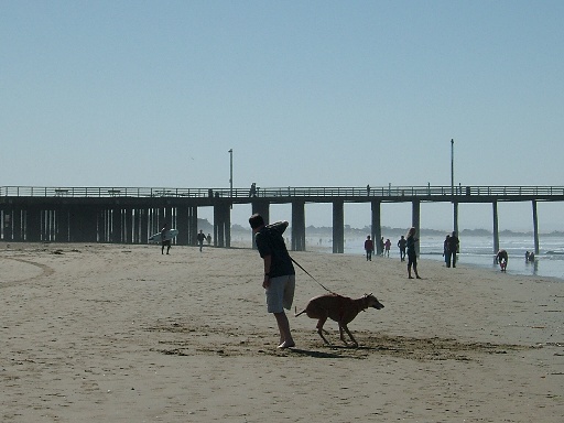 c0078451_8525087.jpg