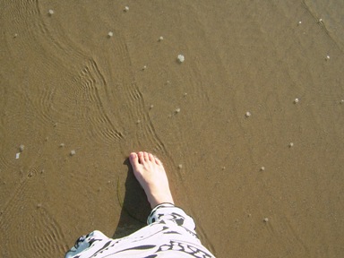 c0078451_975662.jpg