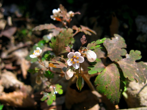 c0179351_23135924.jpg