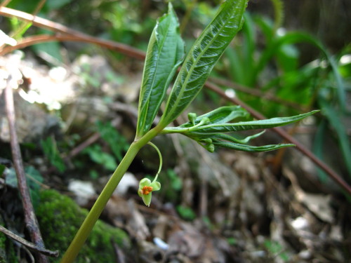 c0179351_239575.jpg