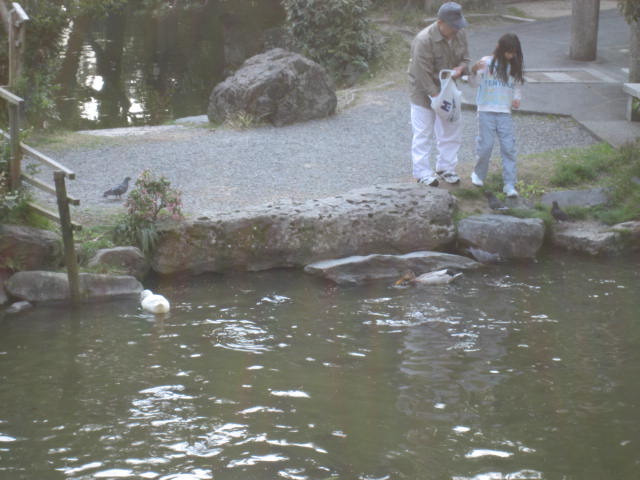 f0181251_172319100.jpg