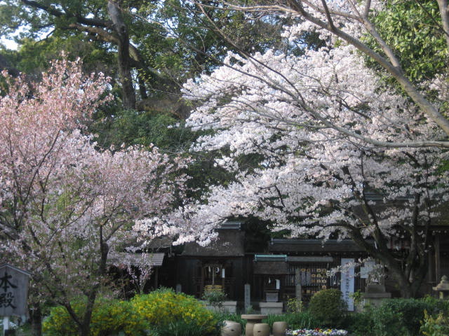 f0181251_17304159.jpg