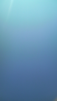 b0012252_11195775.jpg