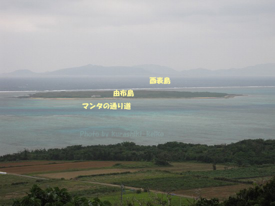 d0031853_521220.jpg