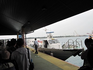 d0031853_6165446.jpg