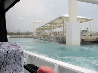 d0031853_6435868.jpg