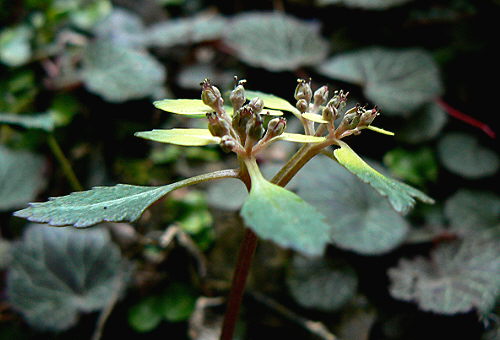 d0091754_22352723.jpg