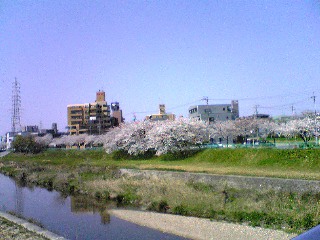 e0038355_193724.jpg