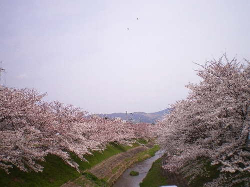 a0066258_21513165.jpg
