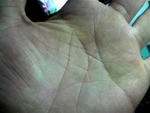 d0021258_0374357.jpg
