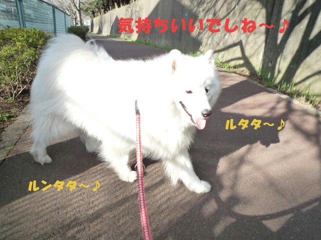 e0176159_10043.jpg