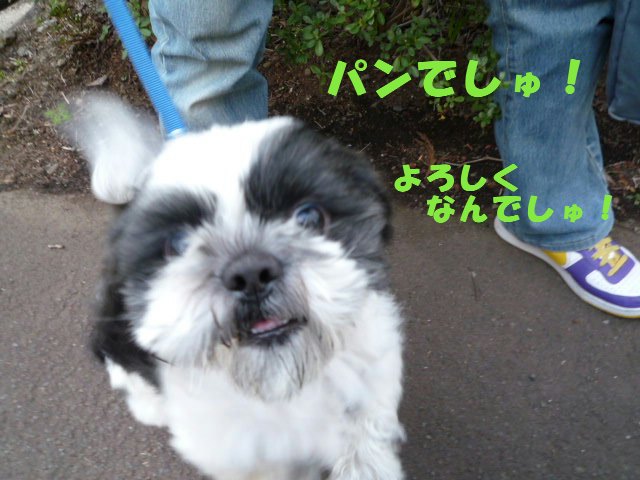 e0176159_10225327.jpg