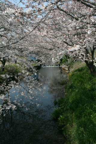 f0077159_21454380.jpg