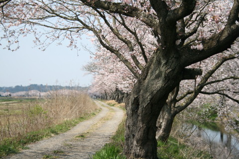 f0077159_21472518.jpg