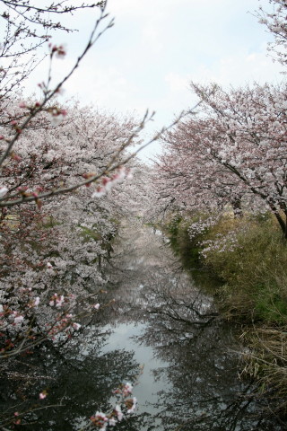 f0077159_21485090.jpg