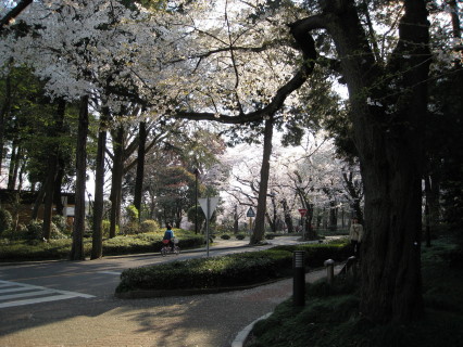 f0077159_21543353.jpg