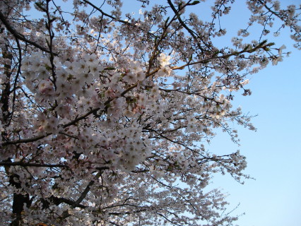f0077159_21553673.jpg