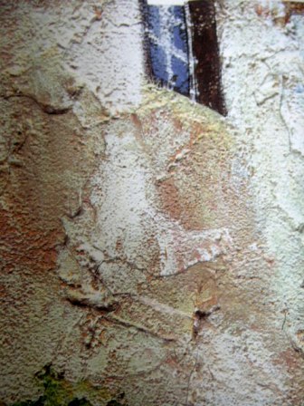f0055961_151695.jpg